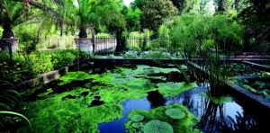 Giardino Botanico di Padova