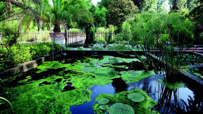 Giardino Botanico di Padova